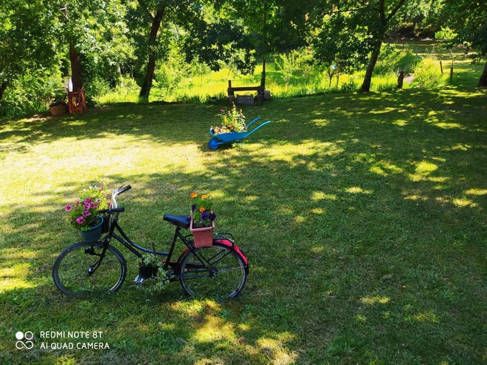 Bed and Breakfast Casas Vale Martinho Санта-Комба-Дан Екстер'єр фото