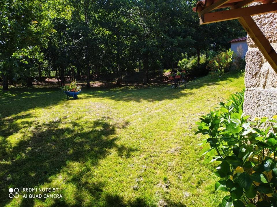 Bed and Breakfast Casas Vale Martinho Санта-Комба-Дан Екстер'єр фото