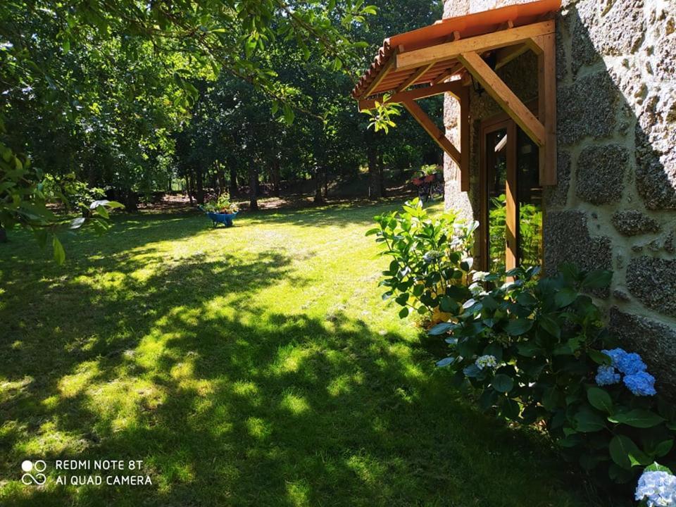 Bed and Breakfast Casas Vale Martinho Санта-Комба-Дан Екстер'єр фото