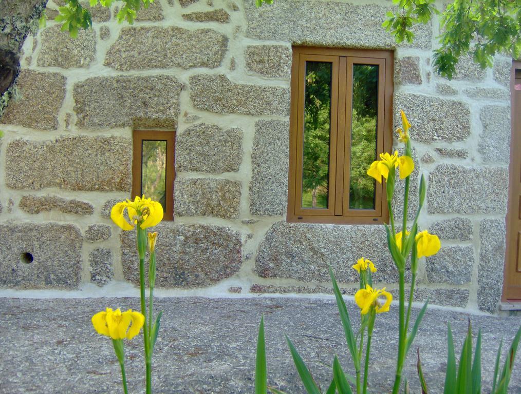 Bed and Breakfast Casas Vale Martinho Санта-Комба-Дан Екстер'єр фото