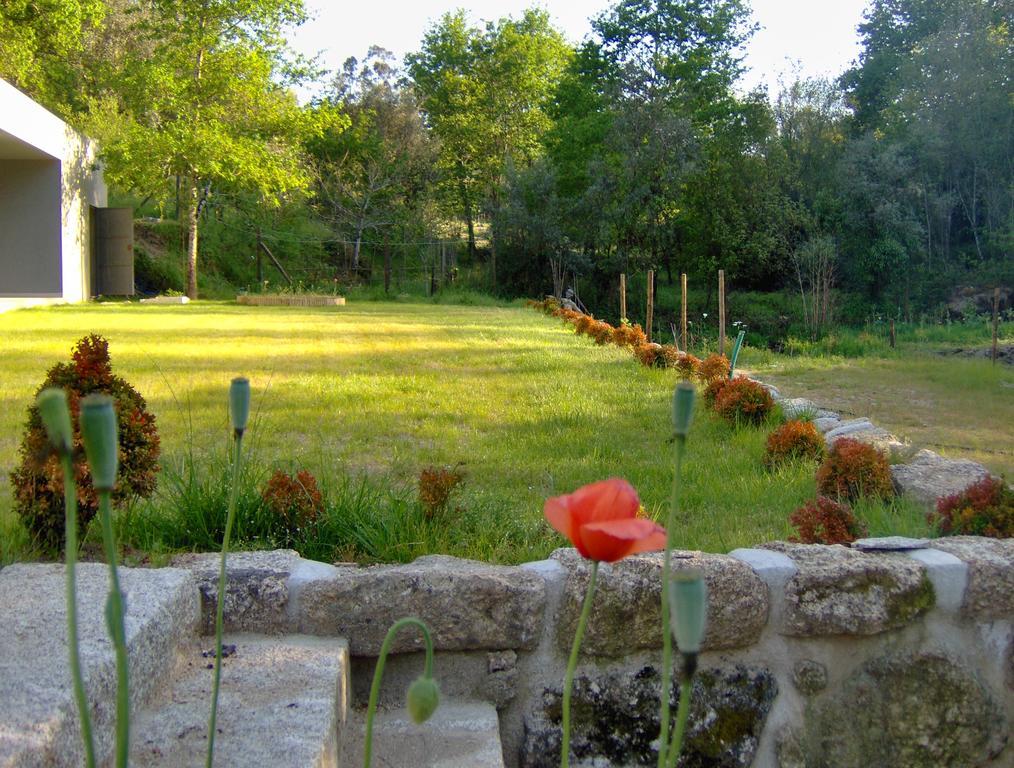 Bed and Breakfast Casas Vale Martinho Санта-Комба-Дан Екстер'єр фото