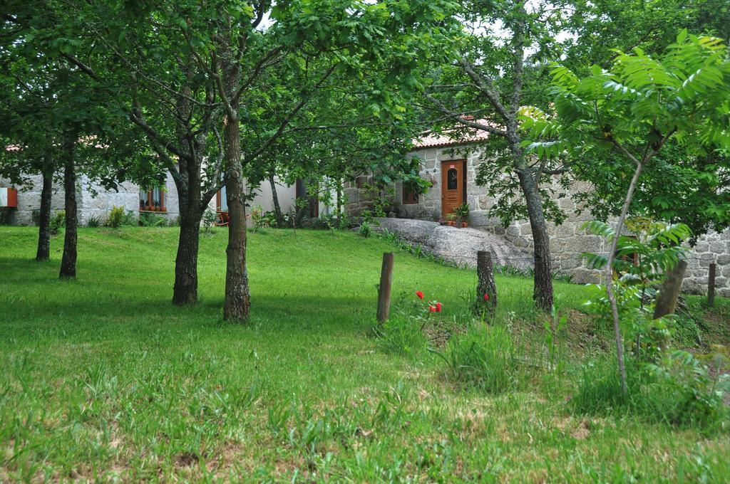 Bed and Breakfast Casas Vale Martinho Санта-Комба-Дан Екстер'єр фото