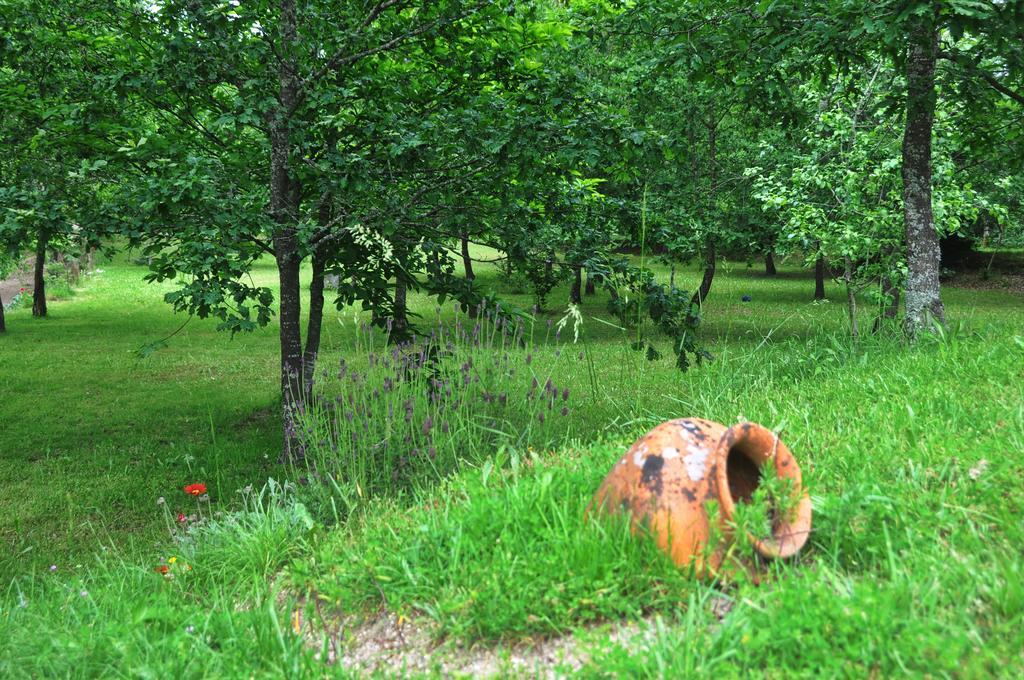 Bed and Breakfast Casas Vale Martinho Санта-Комба-Дан Екстер'єр фото